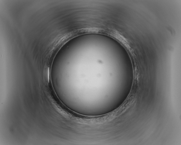 X0000113280013200909141235