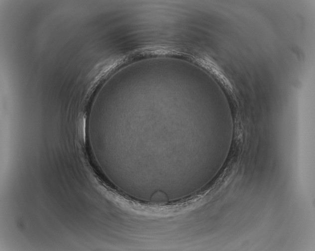 X0000113280014200909141235