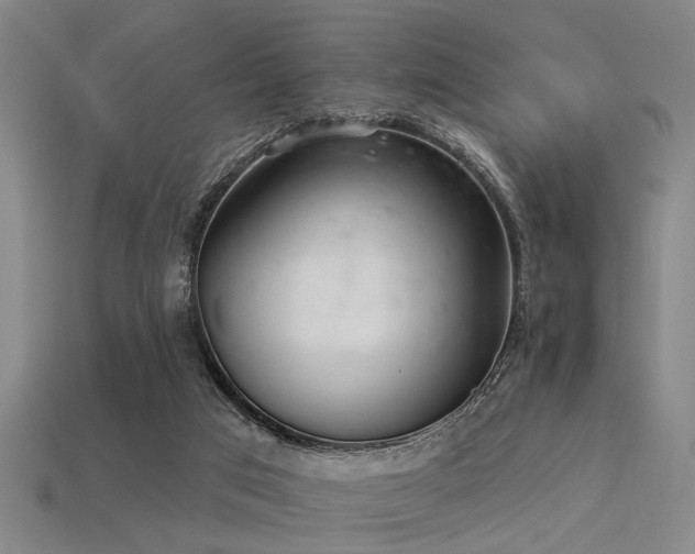 X0000113280017200909141235