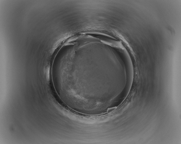 X0000113280019200909141235