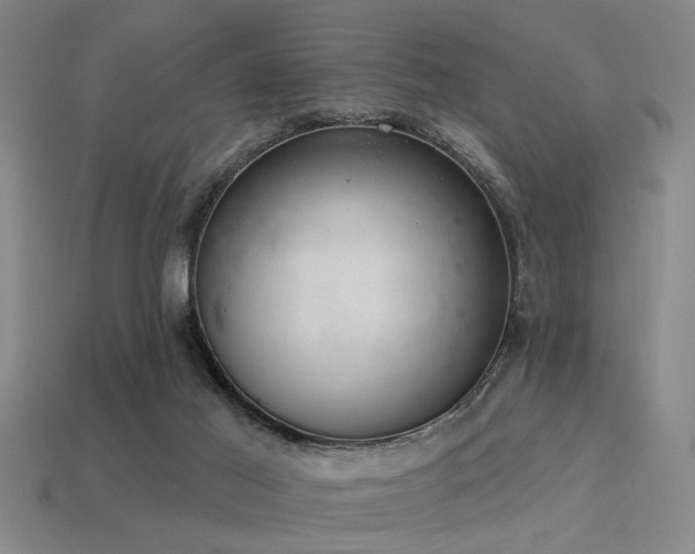 X0000113280021200909141235