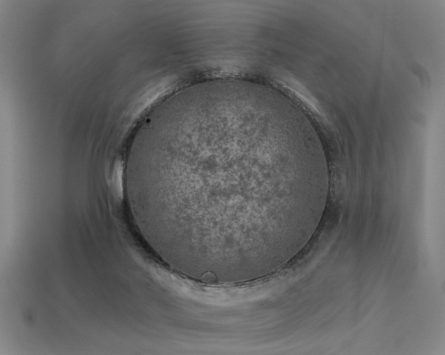 X0000113280022200909141235