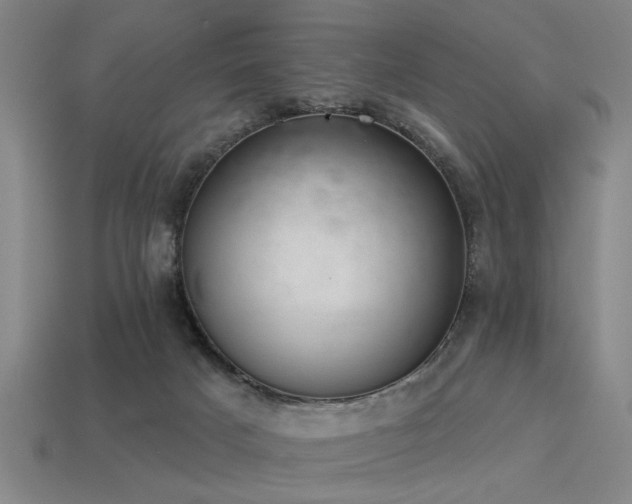 X0000113280025200909141235