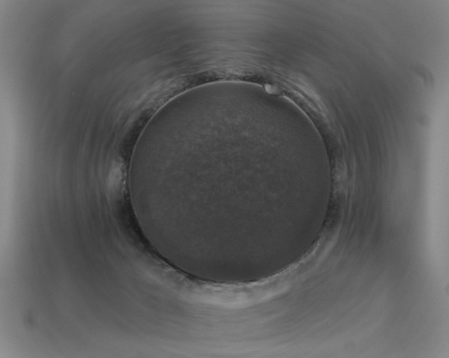 X0000113280029200909141235