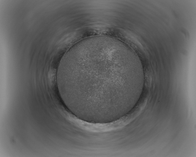 X0000113280034200909141235