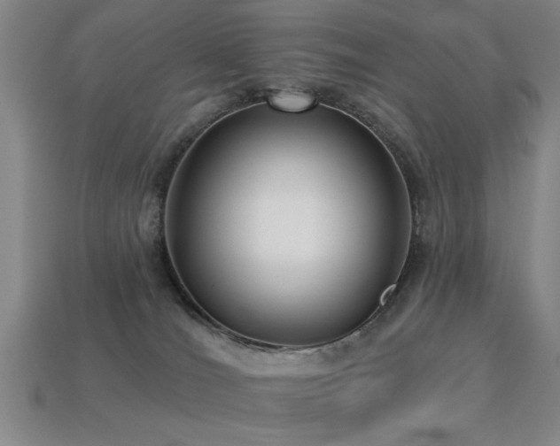 X0000113280036200909141235