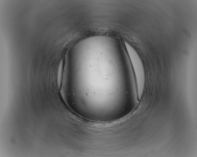 X0000113280037200909141235