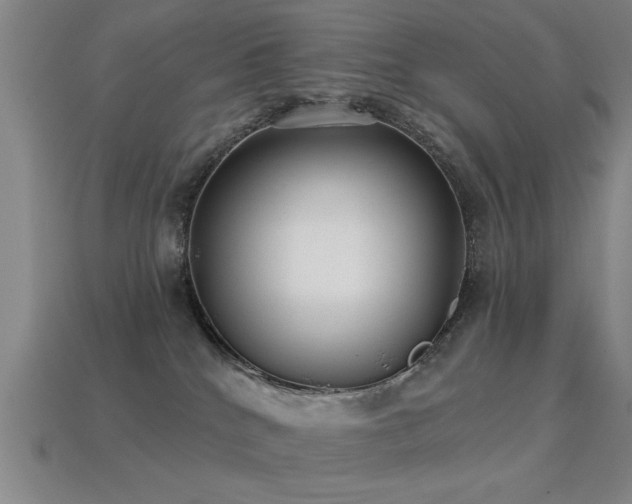 X0000113280040200909141234