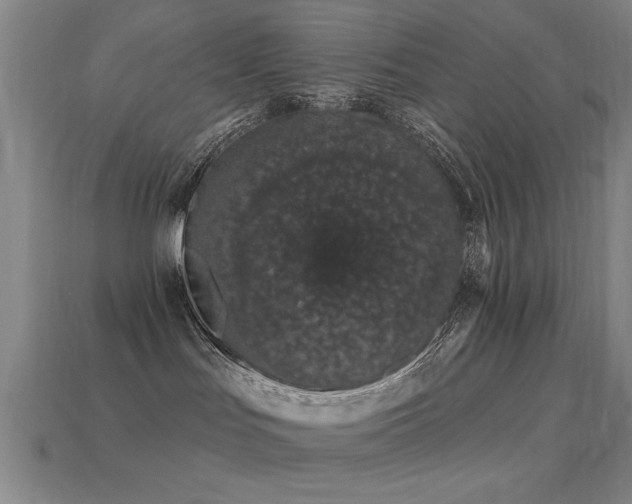 X0000113280047200909141234