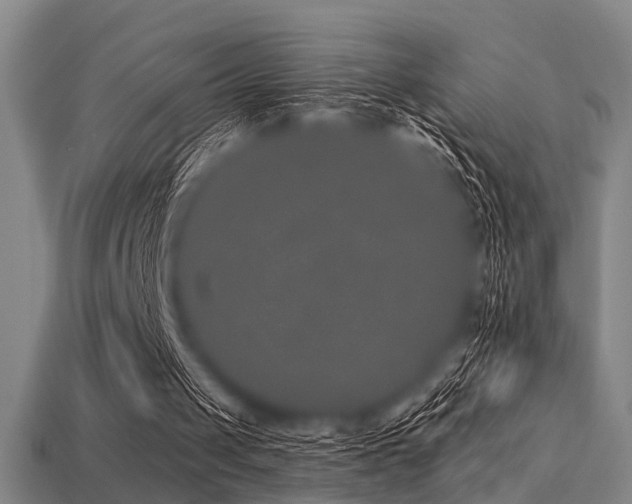 X0000113280049200909141234