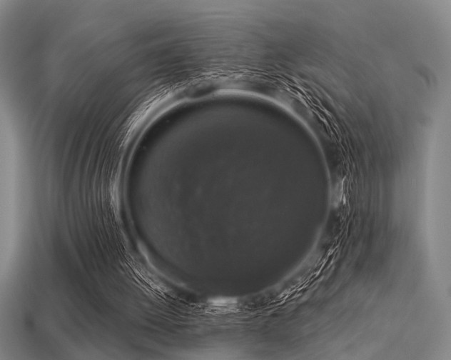 X0000113280052200909141234