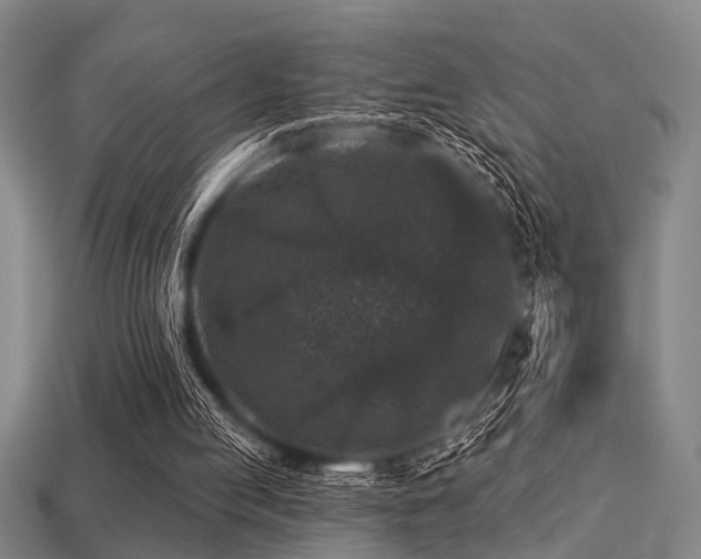 X0000113280053200909141234