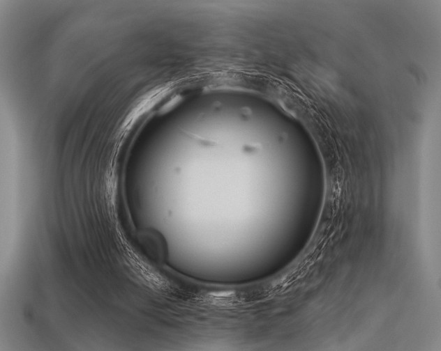 X0000113280054200909141234