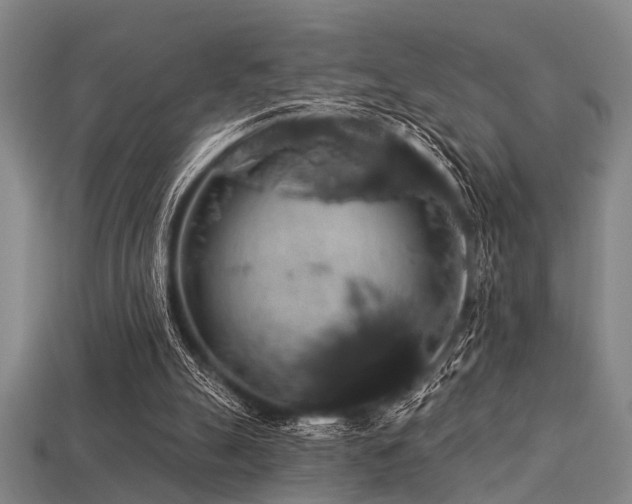 X0000113280055200909141234