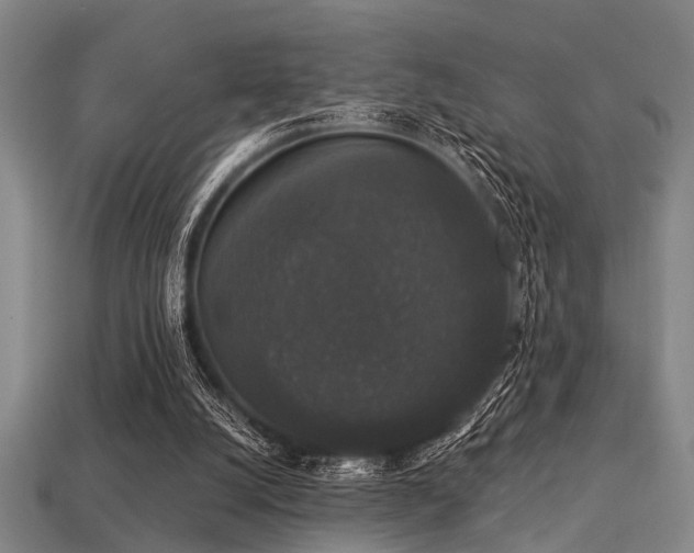 X0000113280056200909141234