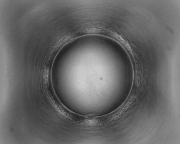 X0000113280057200909141234