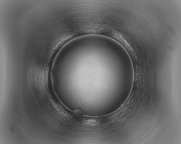 X0000113280058200909141234