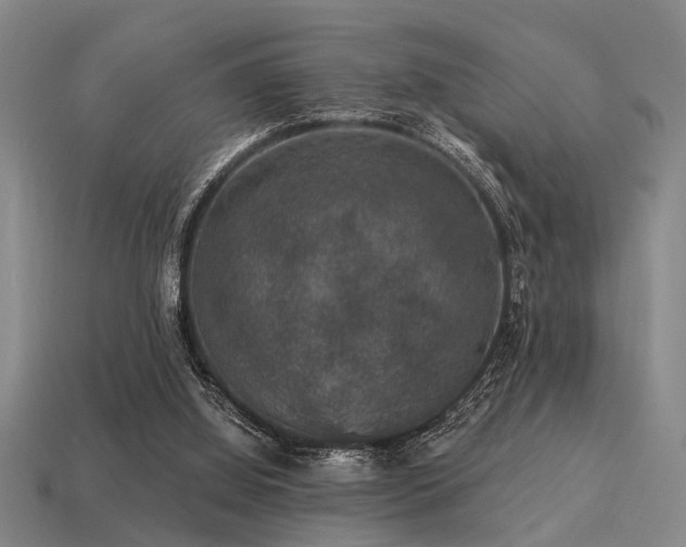 X0000113280060200909141234