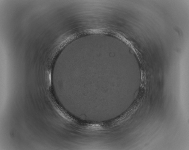 X0000113280061200909141234