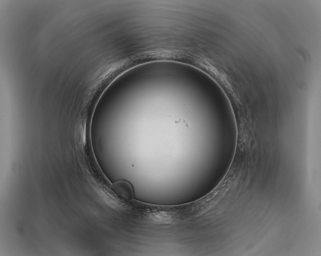 X0000113280062200909141234