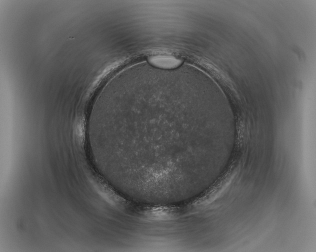 X0000113280064200909141234