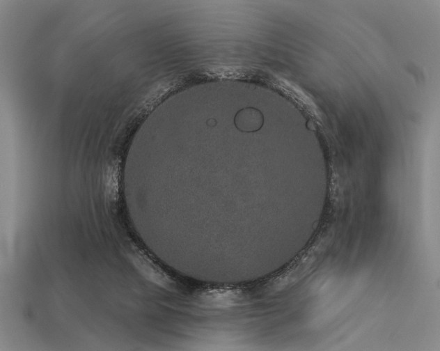 X0000113280065200909141234