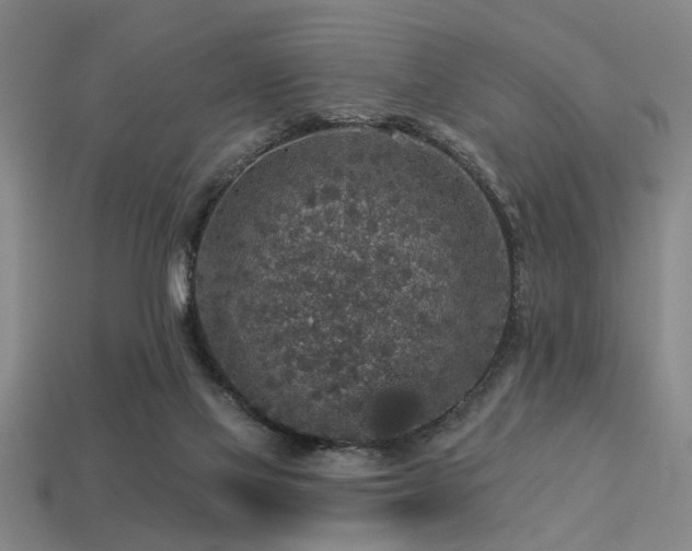 X0000113280069200909141234