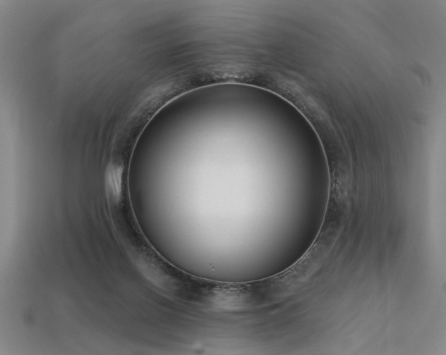 X0000113280070200909141234