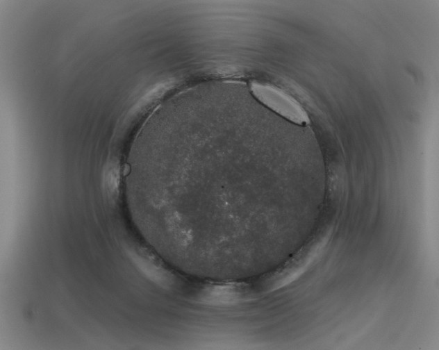 X0000113280072200909141234