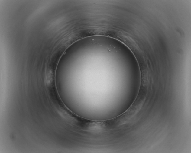 X0000113280077200909141234