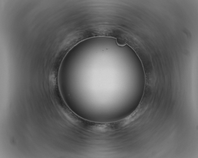 X0000113280086200909141234