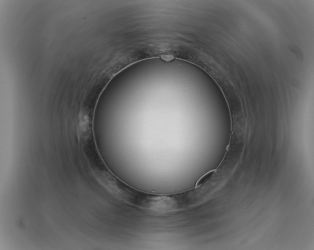 X0000113280087200909141234