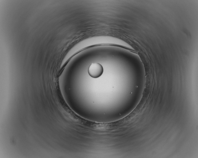 X0000113280088200909141234