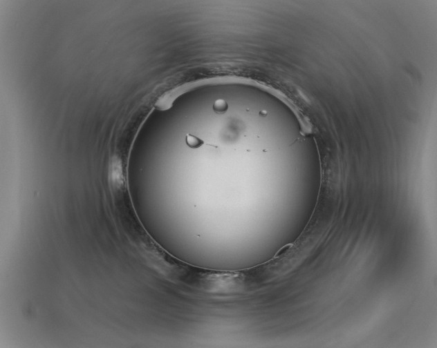 X0000113280089200909141234