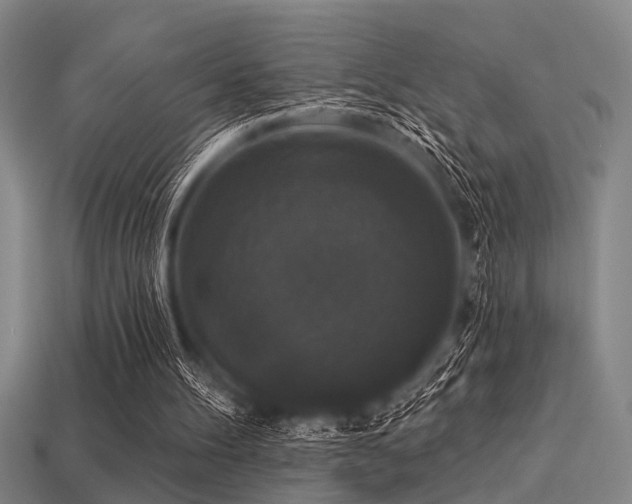 X0000113280100200909141234