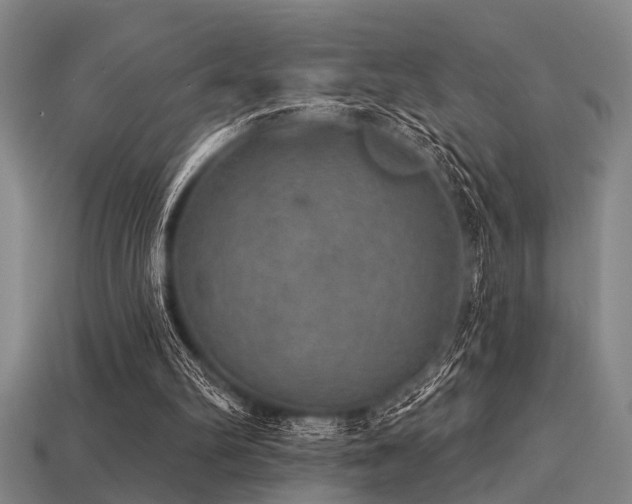 X0000113280102200909141234