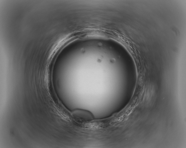 X0000113280103200909141234