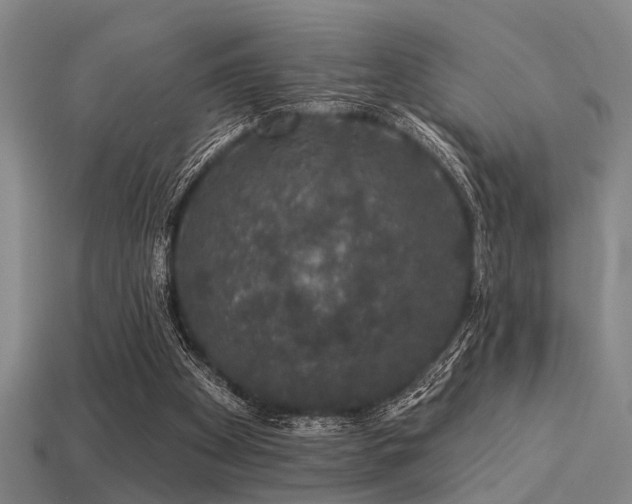 X0000113280105200909141234