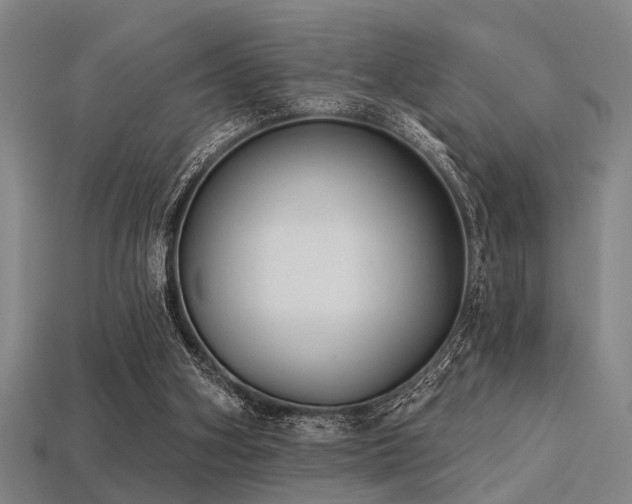 X0000113280106200909141234