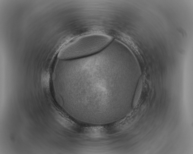 X0000113280108200909141234