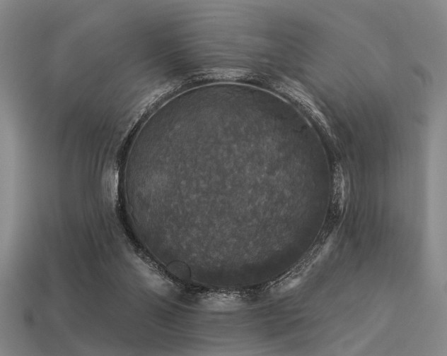 X0000113280110200909141234