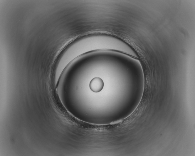 X0000113280112200909141234