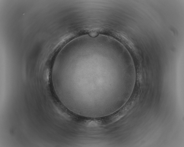 X0000113280115200909141234