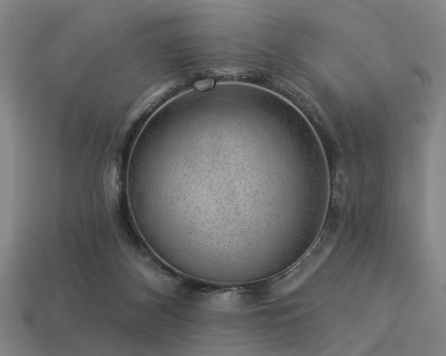 X0000113280116200909141233