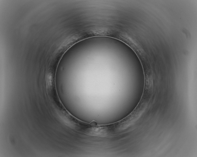 X0000113280117200909141233