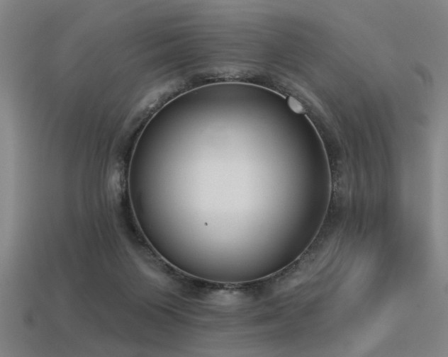 X0000113280119200909141233