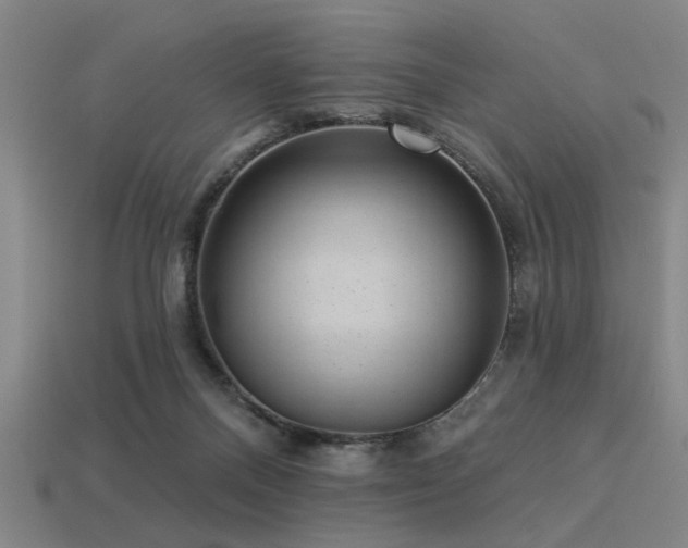 X0000113280120200909141233