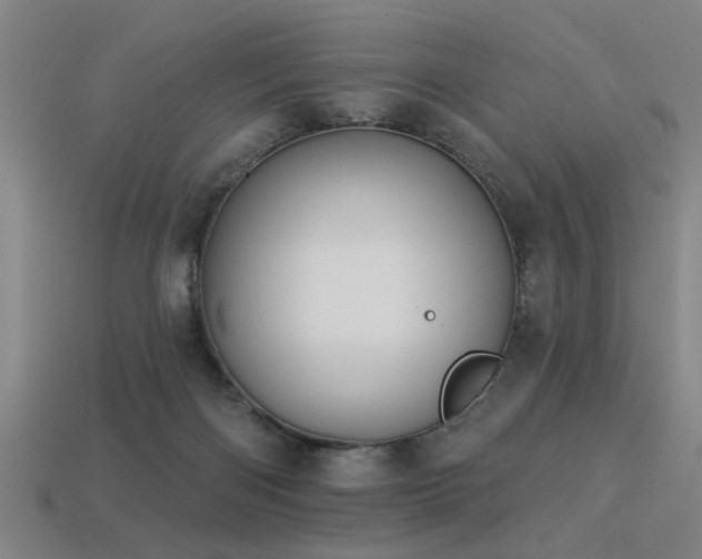 X0000113280122200909141233