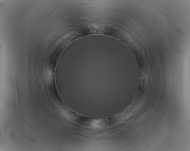 X0000113280130200909141233