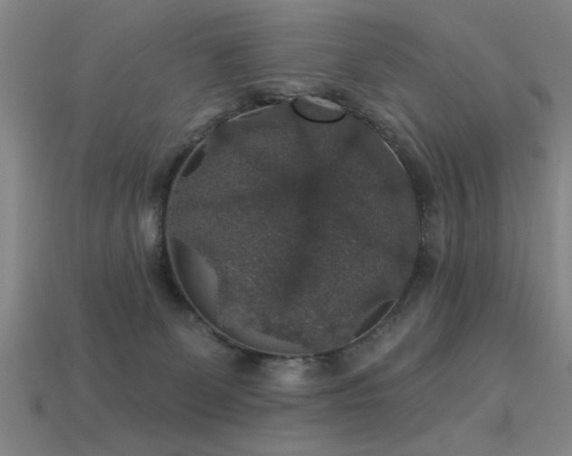 X0000113280131200909141233